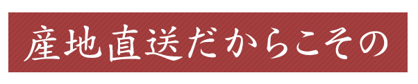 産地直送だからこその